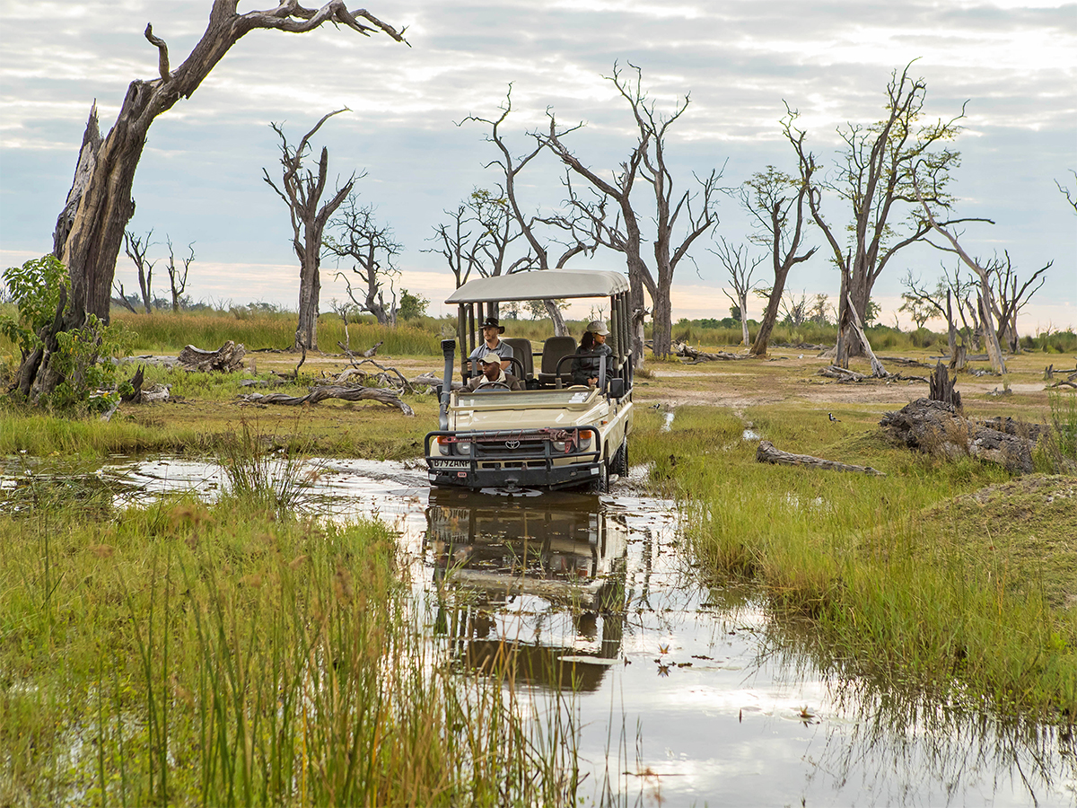 1700147531_Moremi-Game-Reserve-Game-Drive-03-2