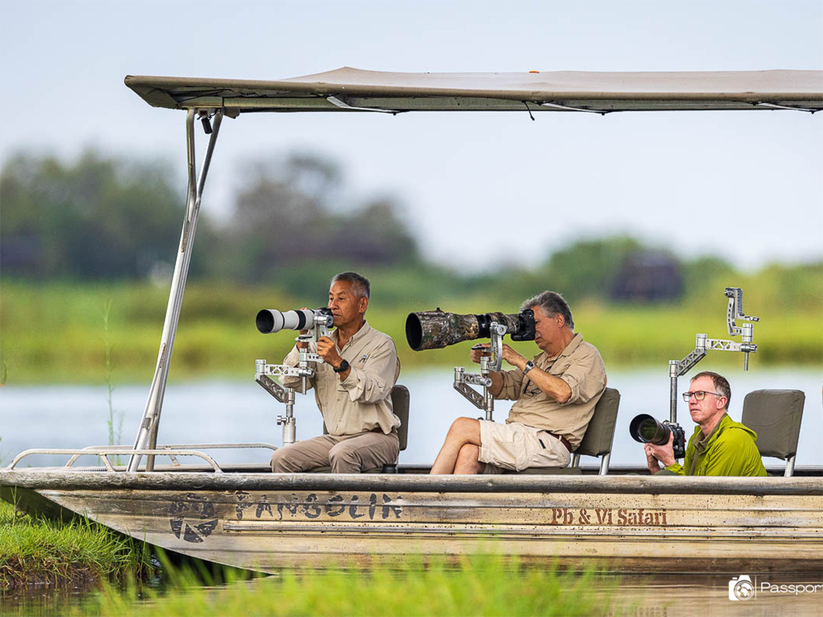 Africa-photo-safaris_Pangolin-Day-2_R5-15
