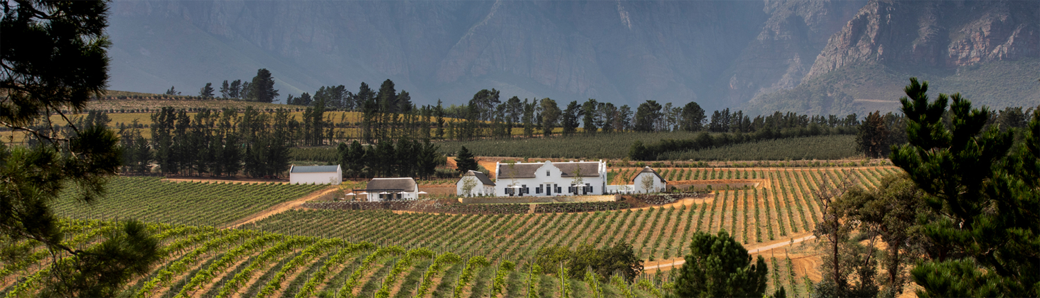 Manor House_Exterior 17