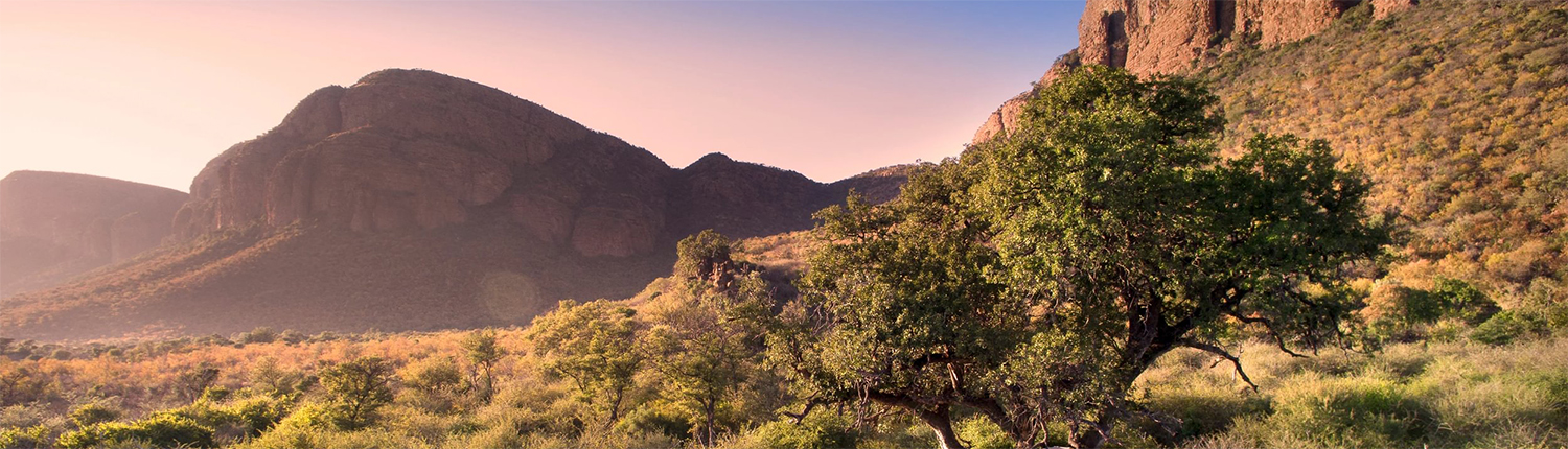 Marataba South Africa_Thabametsi Treehouse_3_Treehouse Views - Large