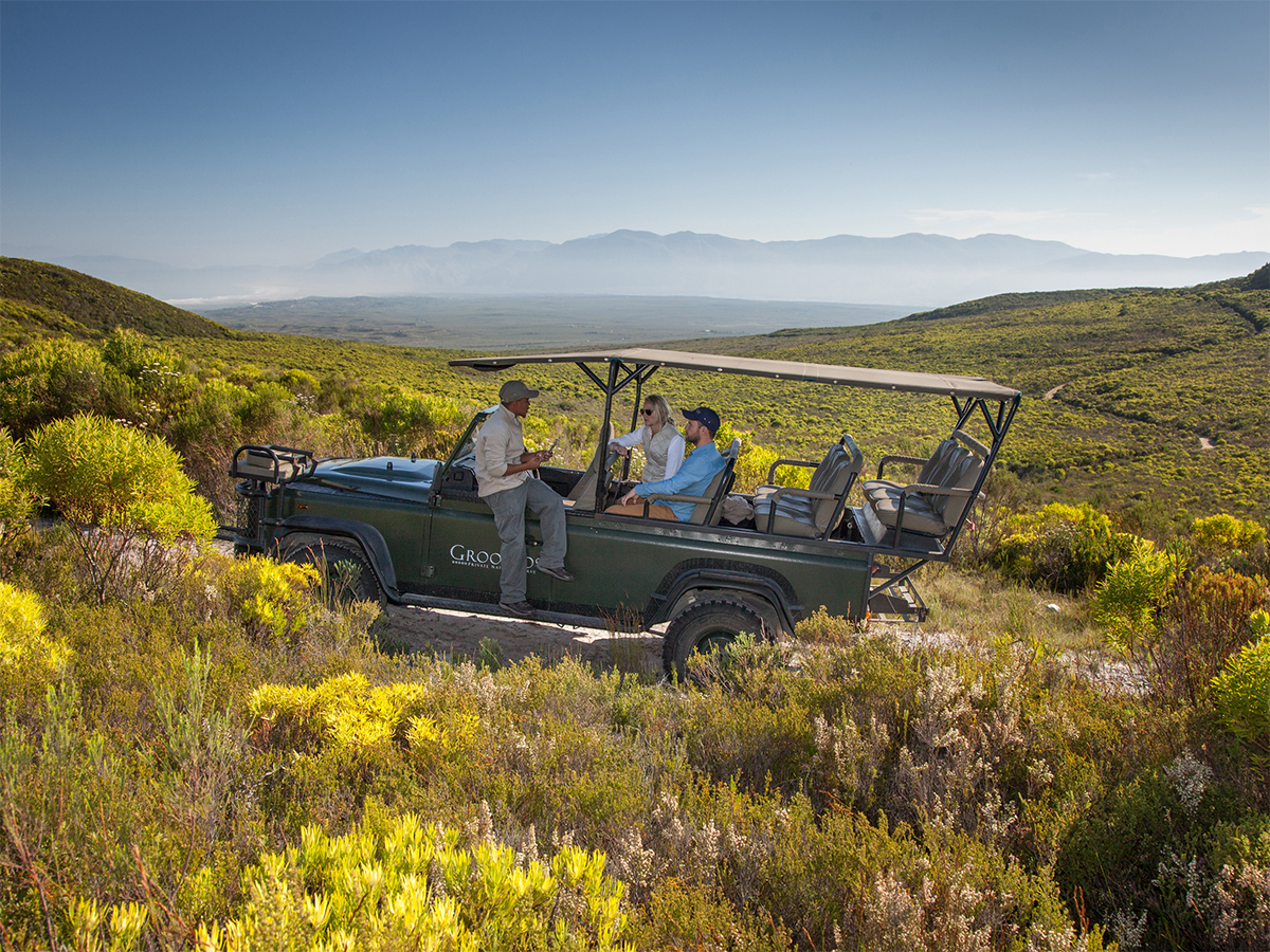 web-grootbos-experience-flower-safari-04